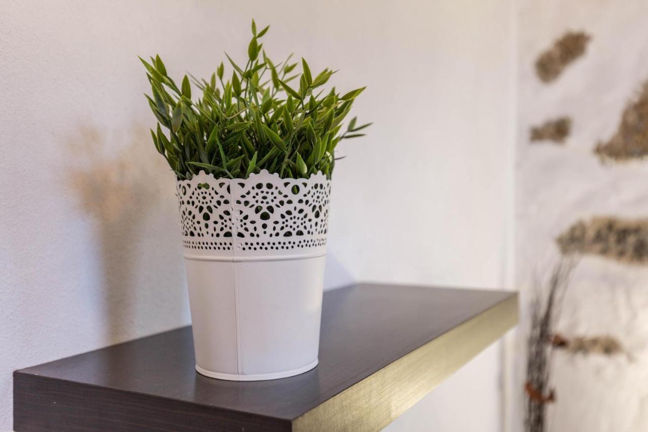 Apartamento Edén Ecologico en Casa La Fuentita El Charco  Exterior foto